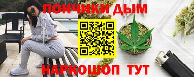индика Можга