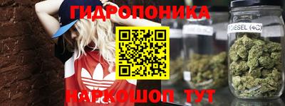 ГАЛЛЮЦИНОГЕННЫЕ ГРИБЫ Моздок