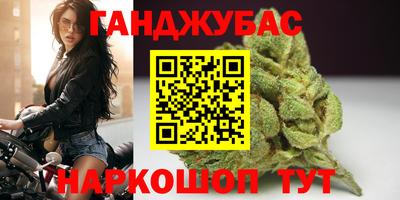 индика Можга