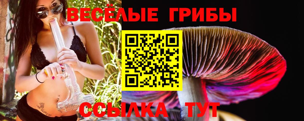Галлюциногенные грибы мицелий Ставрополь