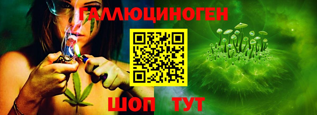 где найти   Вход с VPN  Ставрополь  Галлюциногенные грибы прущие грибы 